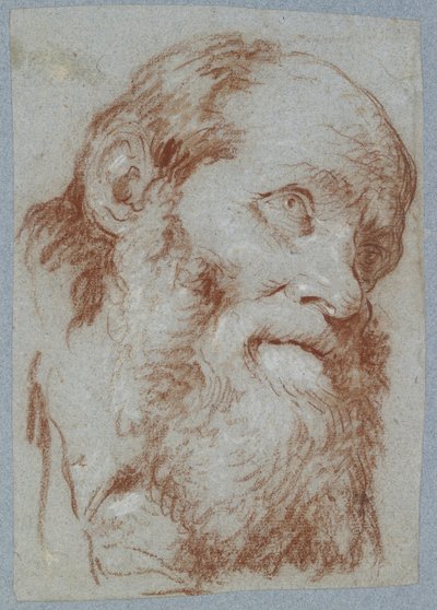 Hoved af en gammel skægget mand (rødt kridt, berørt med hvidt, på falmet gråblåt papir) af Giovanni Battista Tiepolo