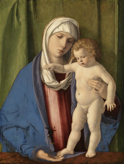 Jomfru og barn, ca. 1488-90 (olie på panel) af Giovanni Bellini
