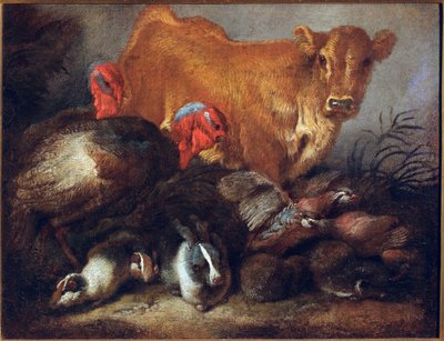 Studie af dyr Ko, kalkun, kanin, Maleri af Giovanni Benedetto Castiglione dit il Grechetto (1610-1665) Dim.30x38,5 cm Gener, Musei di Strada Nuova af Giovanni Benedetto Castiglione