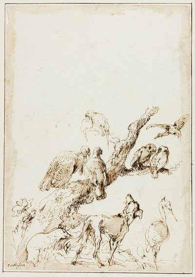 Fugle og dyr omkring et dødt træ af Giovanni Benedetto Castiglione
