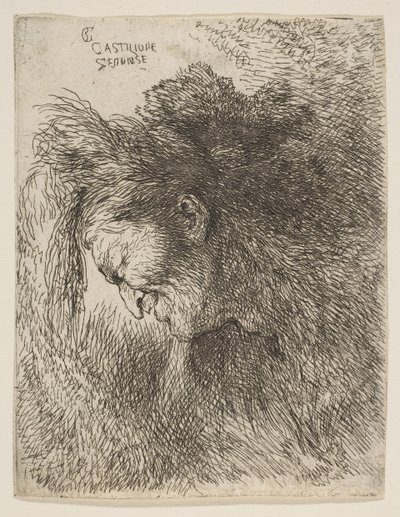 Hovedet af en gammel mand, der kigger ned, vender mod venstre, fra serien af små hoveder i ..., ca. 1645-1650. af Giovanni Benedetto Castiglione