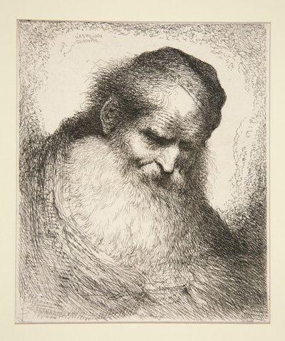 Gammel mand med skæg foran (fra serie af store orientalske hoveder) af Giovanni Benedetto Castiglione