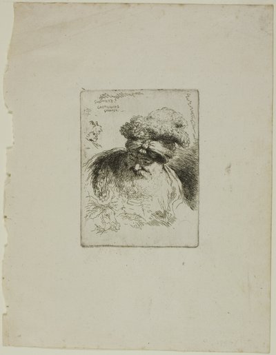 Gammel mand med turban af Giovanni Benedetto Castiglione