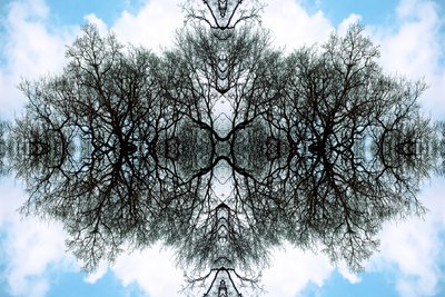 Unaturlig 100 (digitalt manipuleret foto) af Giovanni Cafagna