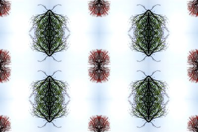 Unaturlig 110 (digitalt manipuleret foto) af Giovanni Cafagna