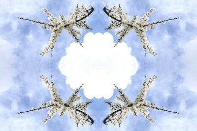 Unaturlig 115 (digitalt manipuleret foto) af Giovanni Cafagna