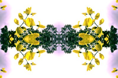 Unaturlig 151.2 (digitalt manipuleret foto) af Giovanni Cafagna