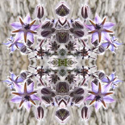 Unaturlig 159 (digitalt manipuleret foto) af Giovanni Cafagna