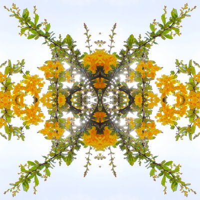 Unaturlig 175 (digitalt manipuleret foto) af Giovanni Cafagna