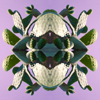 Unaturlig 196 (digitalt manipuleret foto) af Giovanni Cafagna
