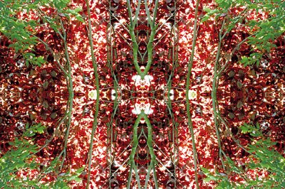 Unaturlig 23 (digitalt manipuleret foto) af Giovanni Cafagna