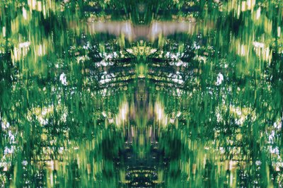 Unaturlig 31 (digitalt manipuleret foto) af Giovanni Cafagna