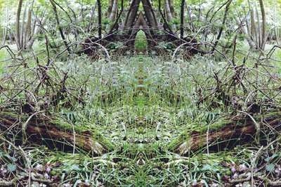 Unaturlig 33 (digitalt manipuleret foto) af Giovanni Cafagna