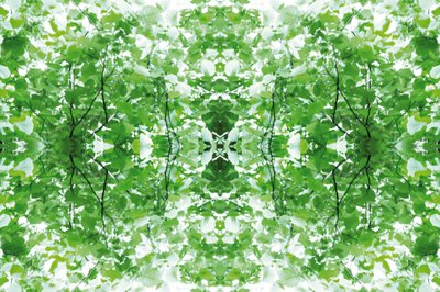 Unaturlig 34 (digitalt manipuleret foto) af Giovanni Cafagna