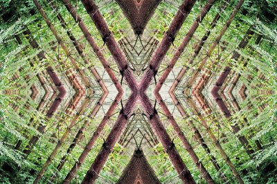 Unaturlig 37 (digitalt manipuleret foto) af Giovanni Cafagna