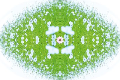 Unaturlig 37 (digitalt manipuleret foto) af Giovanni Cafagna