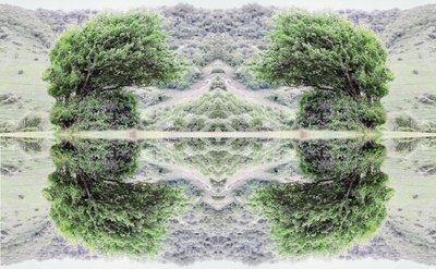 Unaturlig 40 (digitalt manipuleret foto) af Giovanni Cafagna