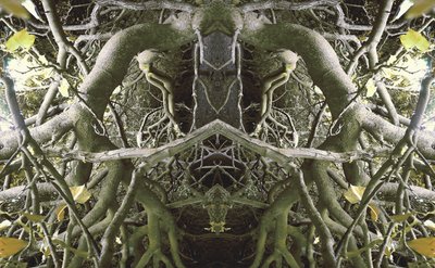Unaturlig 41 (digitalt manipuleret foto) af Giovanni Cafagna