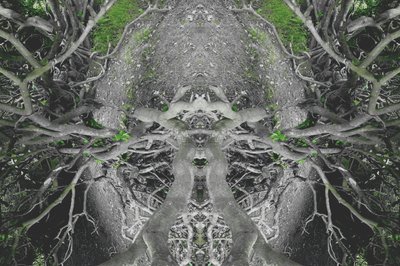 Unaturlig 42 (digitalt manipuleret foto) af Giovanni Cafagna