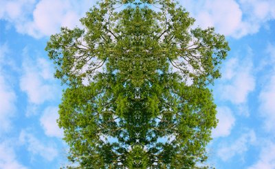 Unaturlig 46 (digitalt manipuleret foto) af Giovanni Cafagna