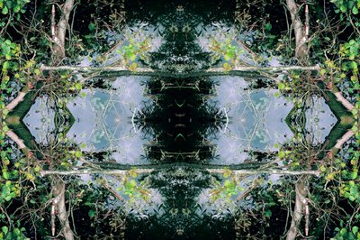 Unaturlig 73 (digitalt manipuleret foto) af Giovanni Cafagna