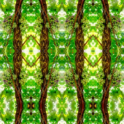 Unaturlig 74 (digitalt manipuleret foto) af Giovanni Cafagna