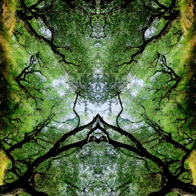 Unaturlig 75 (digitalt manipuleret foto) af Giovanni Cafagna