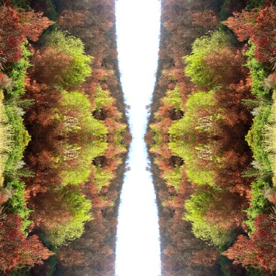 Unaturlig 77 (digitalt manipuleret foto) af Giovanni Cafagna