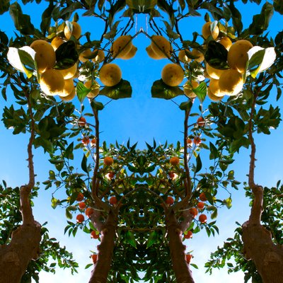 Unaturlig 78 (digitalt manipuleret foto) af Giovanni Cafagna