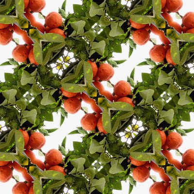 Unaturlig 79 (digitalt manipuleret foto) af Giovanni Cafagna
