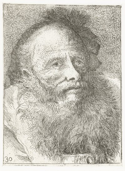 Mand med skæg og hovedbeklædning med fjer Samling af hoveder (serietitel) Raccolta di Teste (serietitel) af Giovanni Domenico Tiepolo