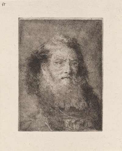 Gammel mand med bare hoved, fra Raccolta di Teste (Samling af hoveder) af Giovanni Domenico Tiepolo