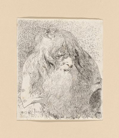 Gammel mand med skæg og langt hår, fra Raccolta di Teste (Samling af hoveder) af Giovanni Domenico Tiepolo