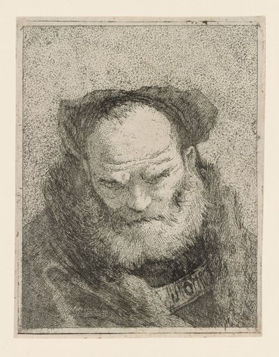 Gammel mand med skæg, fra Raccolta di Teste (Samling af hoveder) af Giovanni Domenico Tiepolo