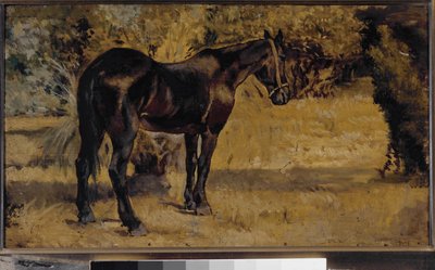 Dark horse (olie på lærred af Giovanni Fattori