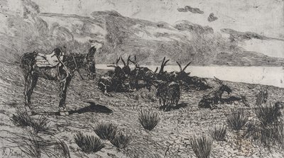Æsel og geder på en strand om vinteren, 1884-1908. af Giovanni Fattori