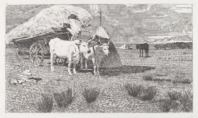 Okser spændt for en kærre (Maremma) af Giovanni Fattori