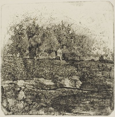 Træer på en eng af Giovanni Fattori