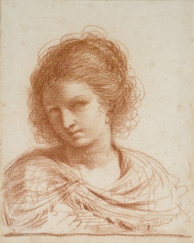 Hoved af en ung kvinde, 1650 - 1666 (rødkridt på hvidt papir) af Giovanni Francesco Barbieri