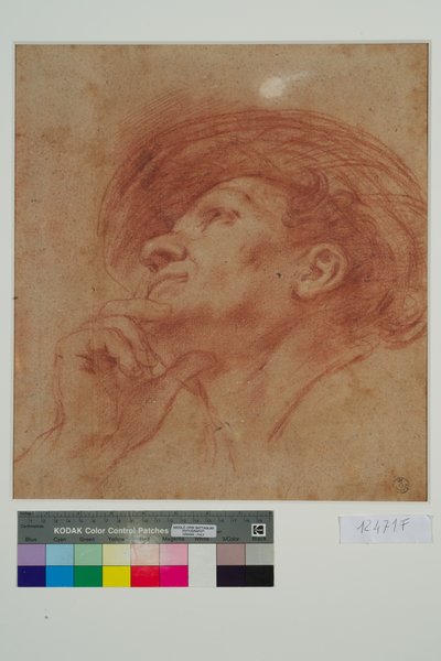 Studie til profeten Haggais hoved (rødt kridt på papir) af Giovanni Francesco Barbieri