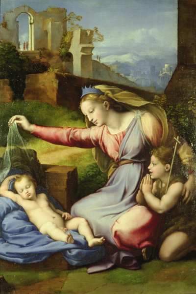 Virgin of the Veil (The Virgin of the Blue Diadem) af Giovanni Francesco Penni
