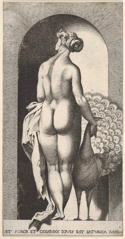 Plade 4: Juno står i en niche, set bagfra, og stryger en påfugl til højre for hende, fr..., 1526. af Giovanni Jacopo Caraglio