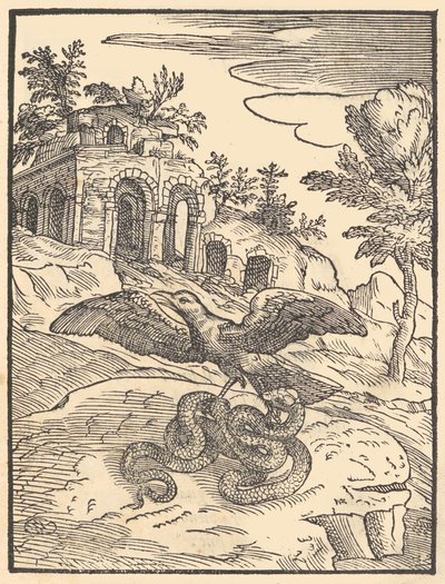 Fugl og slange, 1570. af Giovanni Maria Verdizotti