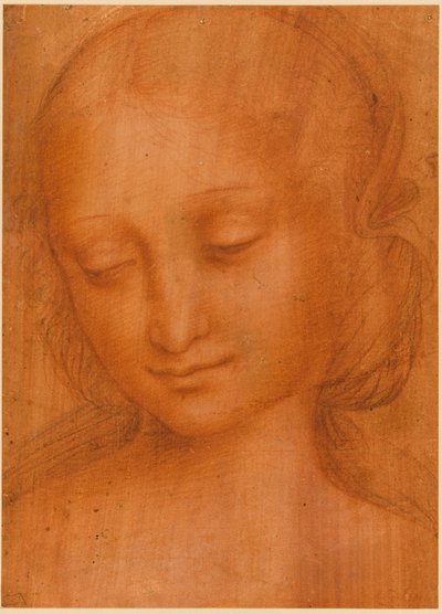 Hovedet af en kvinde af Giovanni Pietro Rizzoli Giampietrino