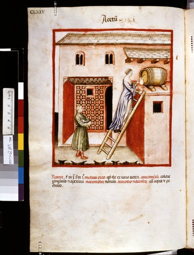 Theatrum sanitatis af Ububchasym de Baldach: 
