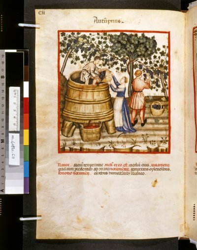 Theatrum sanitatis af Ububchasym de Baldach: 