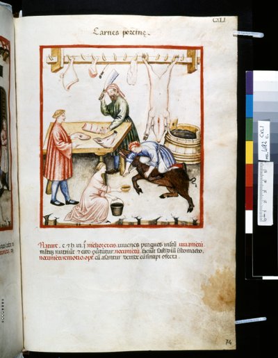 Theatrum sanitatis af Ububchasym de Baldach: "Carnes Porcinae", første årti af det 14. århundrede (miniature) af Giovannino de