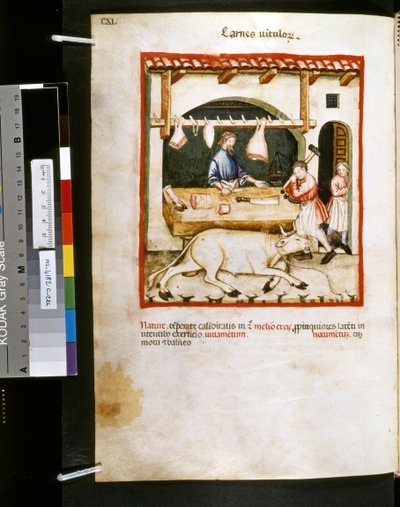 Theatrum sanitatis af Ububchasym de Baldach: 