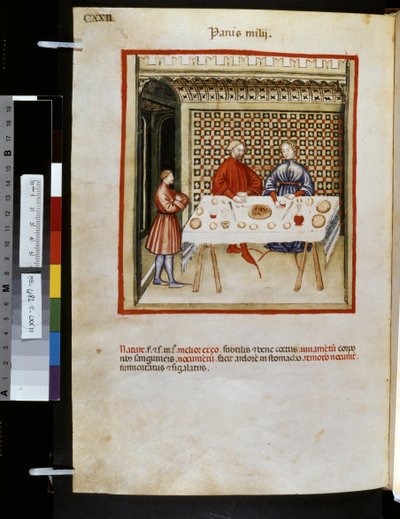Theatrum sanitatis af Ububchasym de Baldach: 