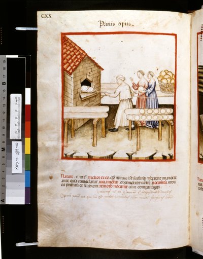 Theatrum sanitatis af Ububchasym de Baldach: 